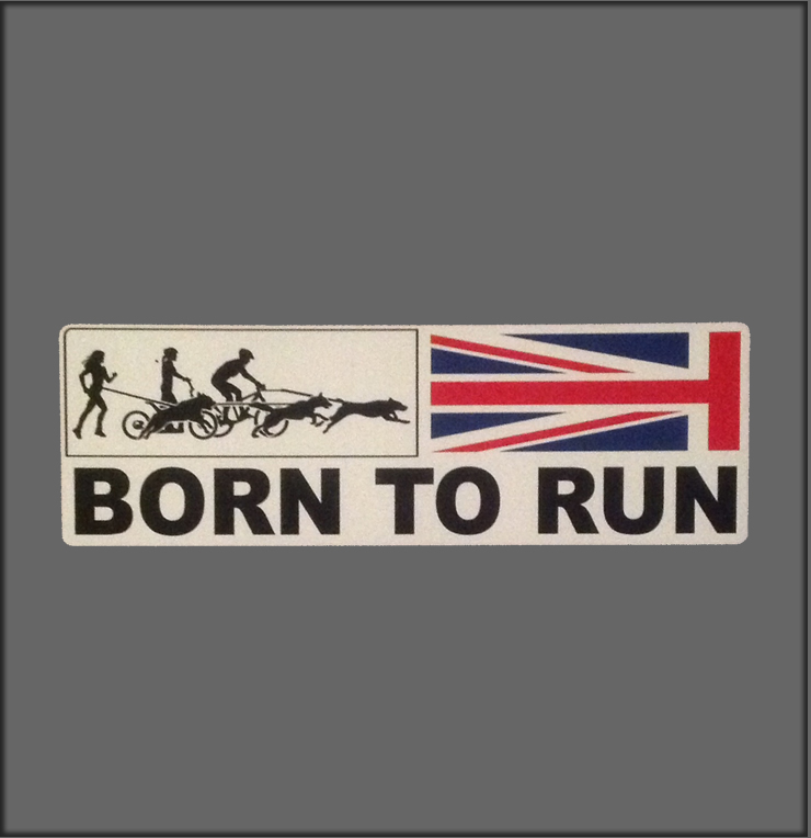 Born to Run Sticker Offer